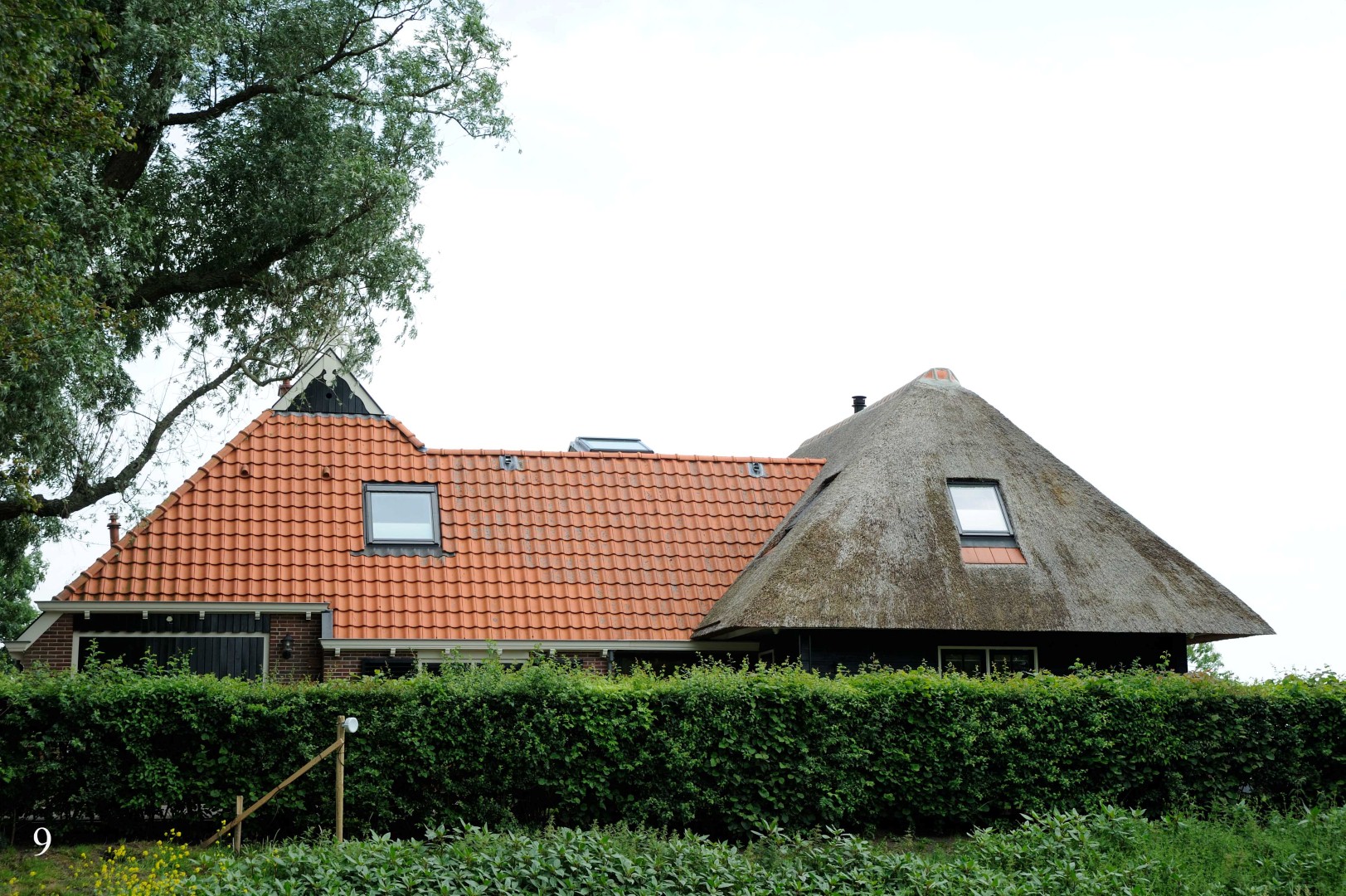 DSC_0003.JPG