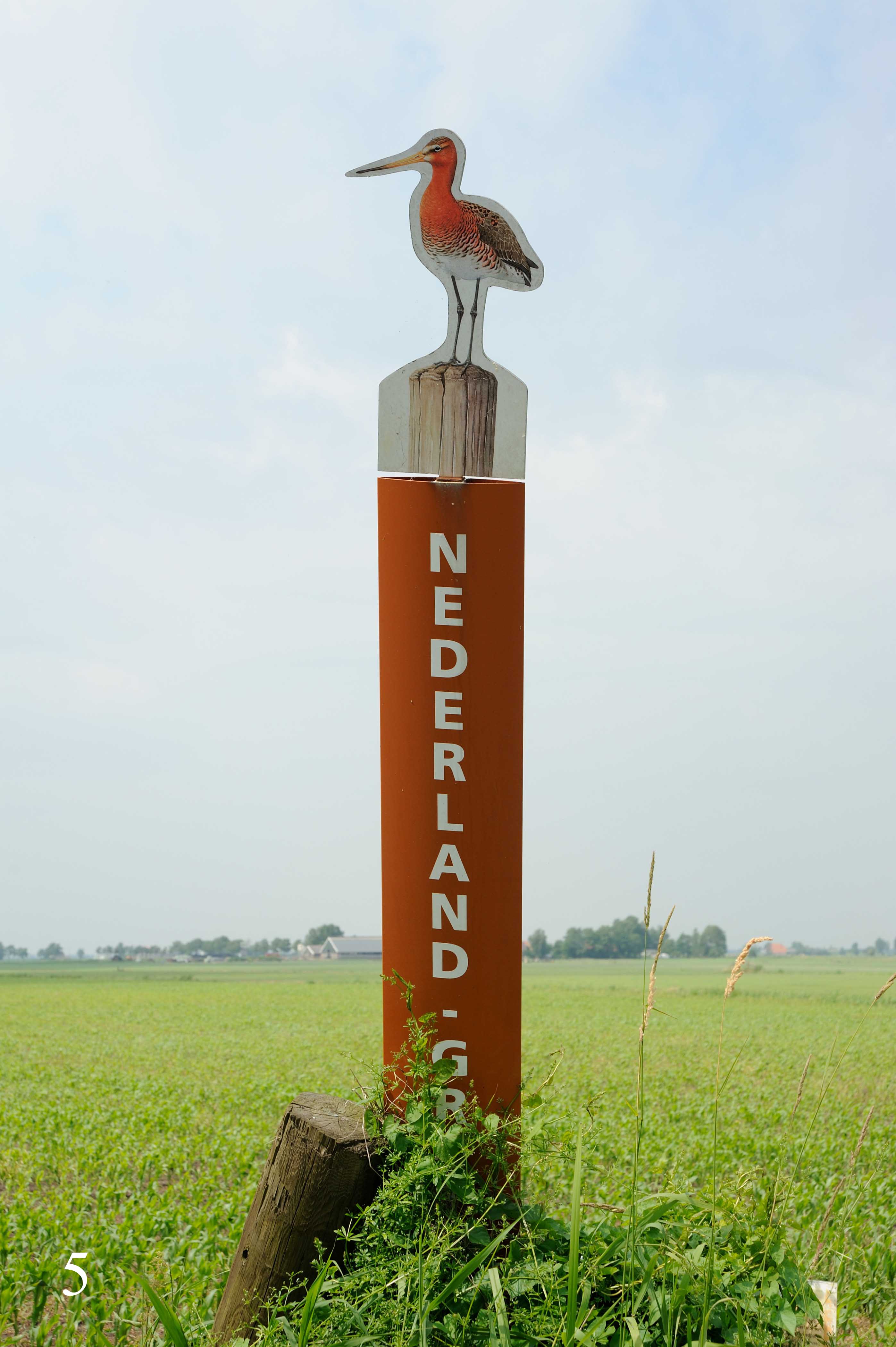 DSC_0009.JPG